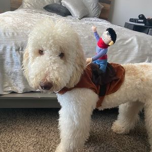 Ridin’ Cowboy Costume